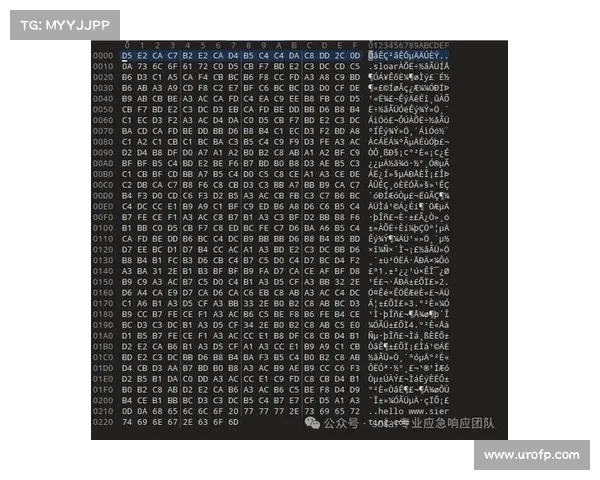 针对 Linux 的新版本 Mallox 勒索软件攻击 媒体