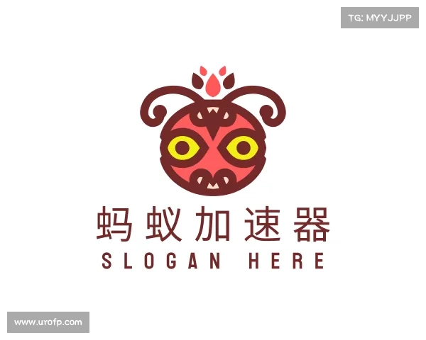 发现蚂蚁加速器